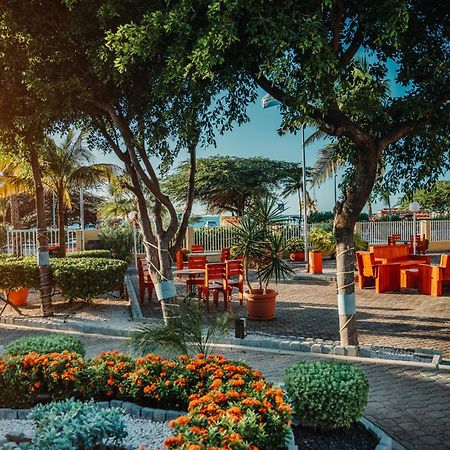 Mvc Eagle Beach Παλμ Μπιτς Εξωτερικό φωτογραφία