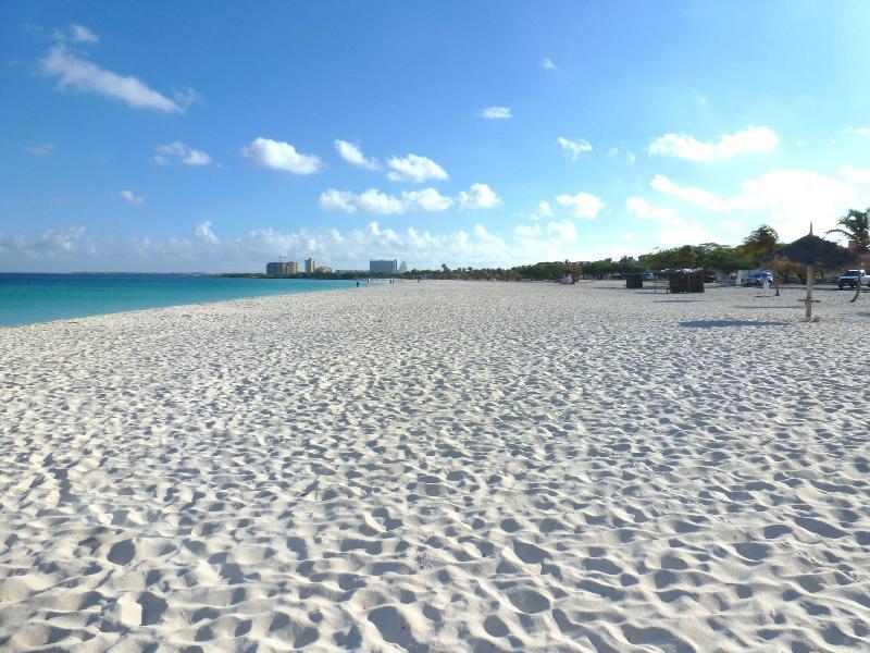 Mvc Eagle Beach Παλμ Μπιτς Εξωτερικό φωτογραφία