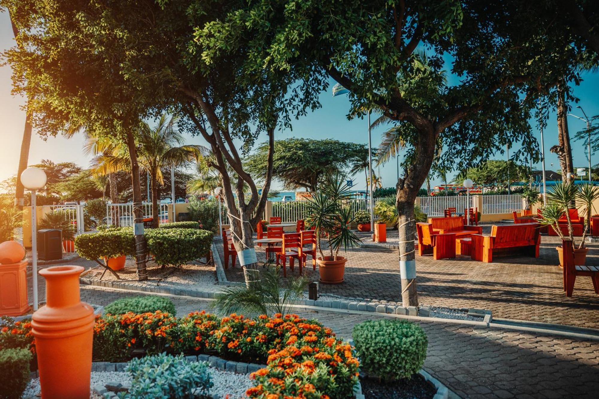 Mvc Eagle Beach Παλμ Μπιτς Εξωτερικό φωτογραφία