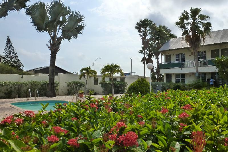 Mvc Eagle Beach Παλμ Μπιτς Εξωτερικό φωτογραφία